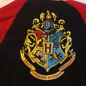 Limited Edition Wizarding World of Harry Potter Hogwarts Hoodie